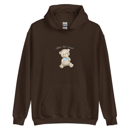 Teddy Bear Hoodie