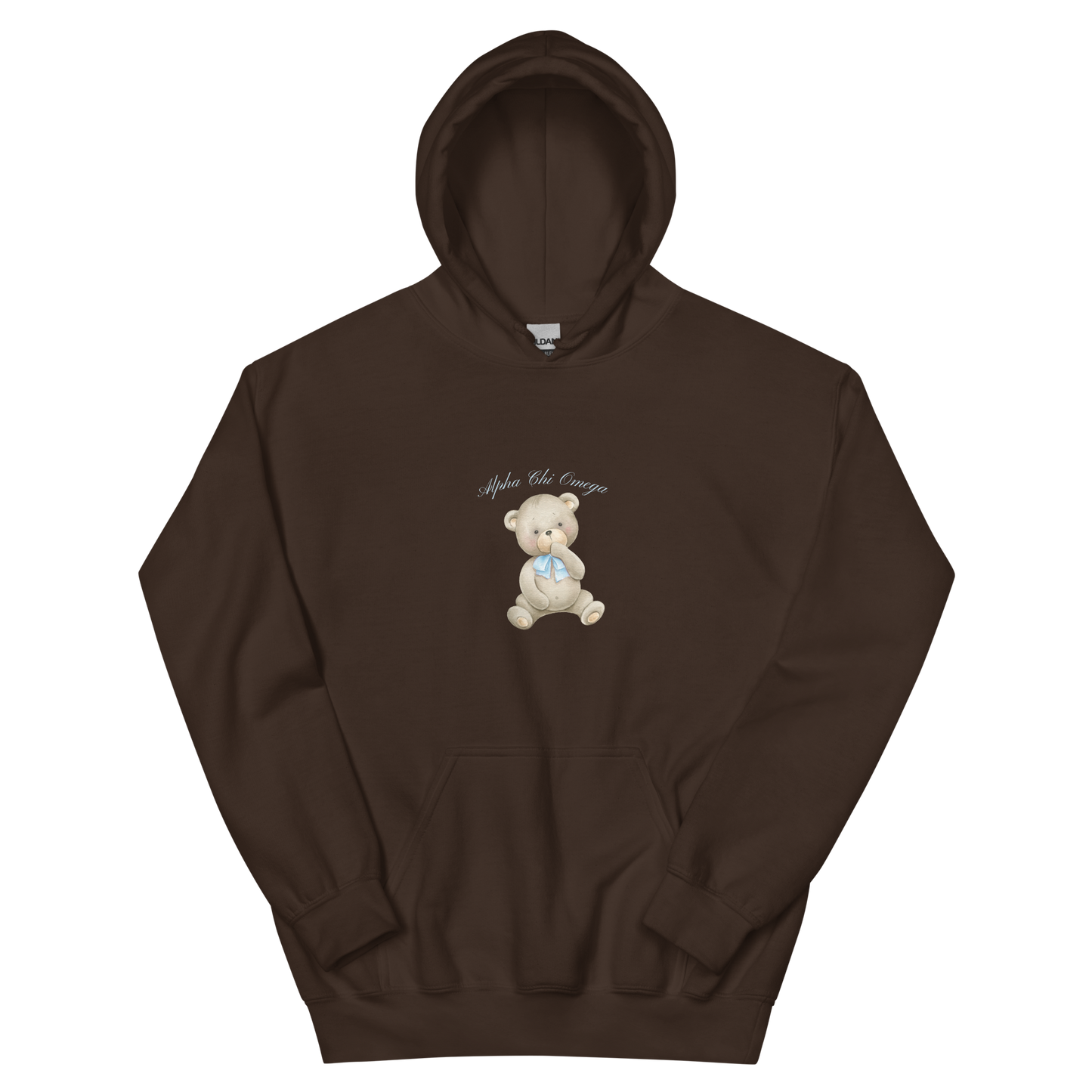 Teddy Bear Hoodie