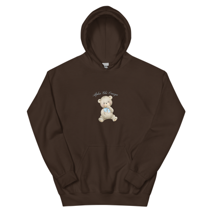 Teddy Bear Hoodie